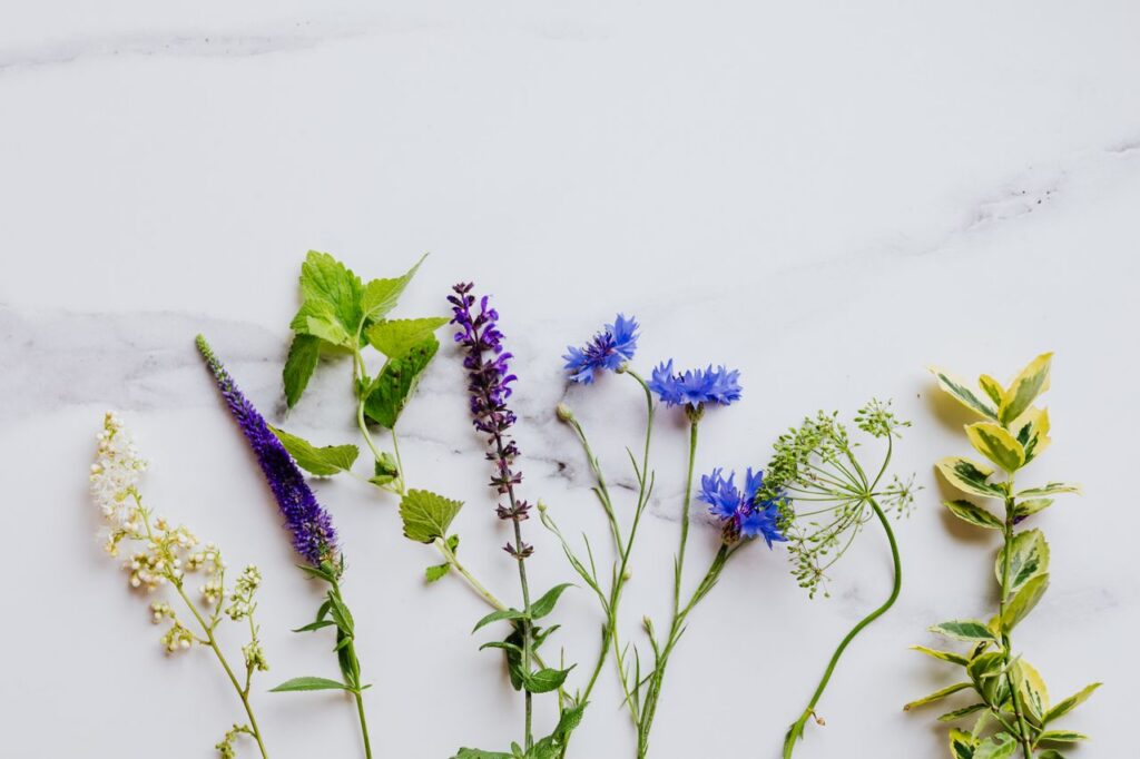 Herbs and botanicals on marble