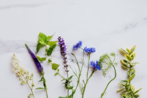 Vibrant mix of herbs and flowers laid out on a white marble background, ideal for botanical themes.
