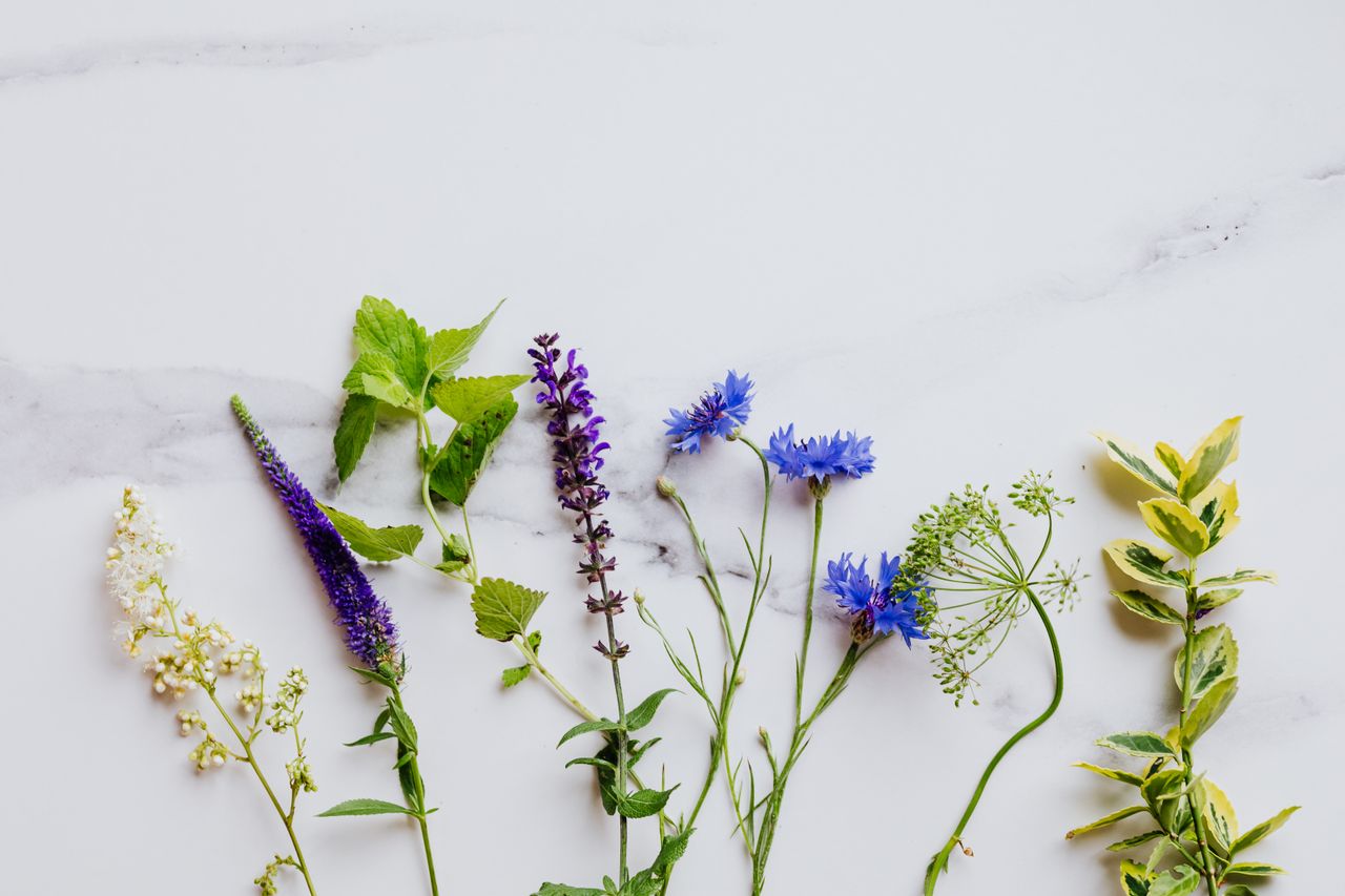 Vibrant mix of herbs and flowers laid out on a white marble background, ideal for botanical themes.